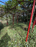 Продава ПАРЦЕЛ, гр. София, с. Панчарево, снимка 4