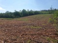 Продава ПАРЦЕЛ, област Велико Търново, с. Шереметя • 71450 € • 26821312 — Holmes.bg