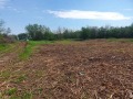 Продава ПАРЦЕЛ, област Велико Търново, с. Шереметя • 71450 € • 26821312 — Holmes.bg