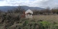 Продава ПАРЦЕЛ, с. Ново село, област Стара Загора, снимка 2