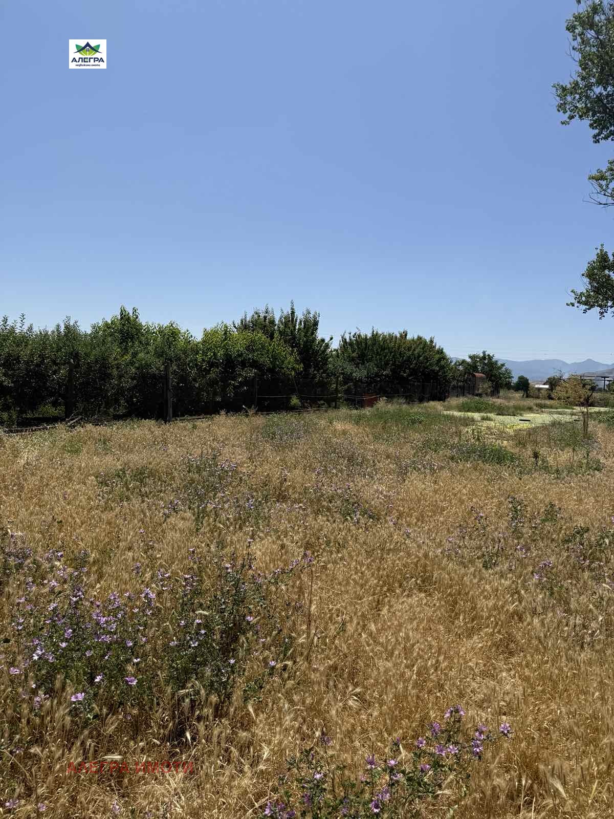 Продава ПАРЦЕЛ | Imot.bg — изображение 1