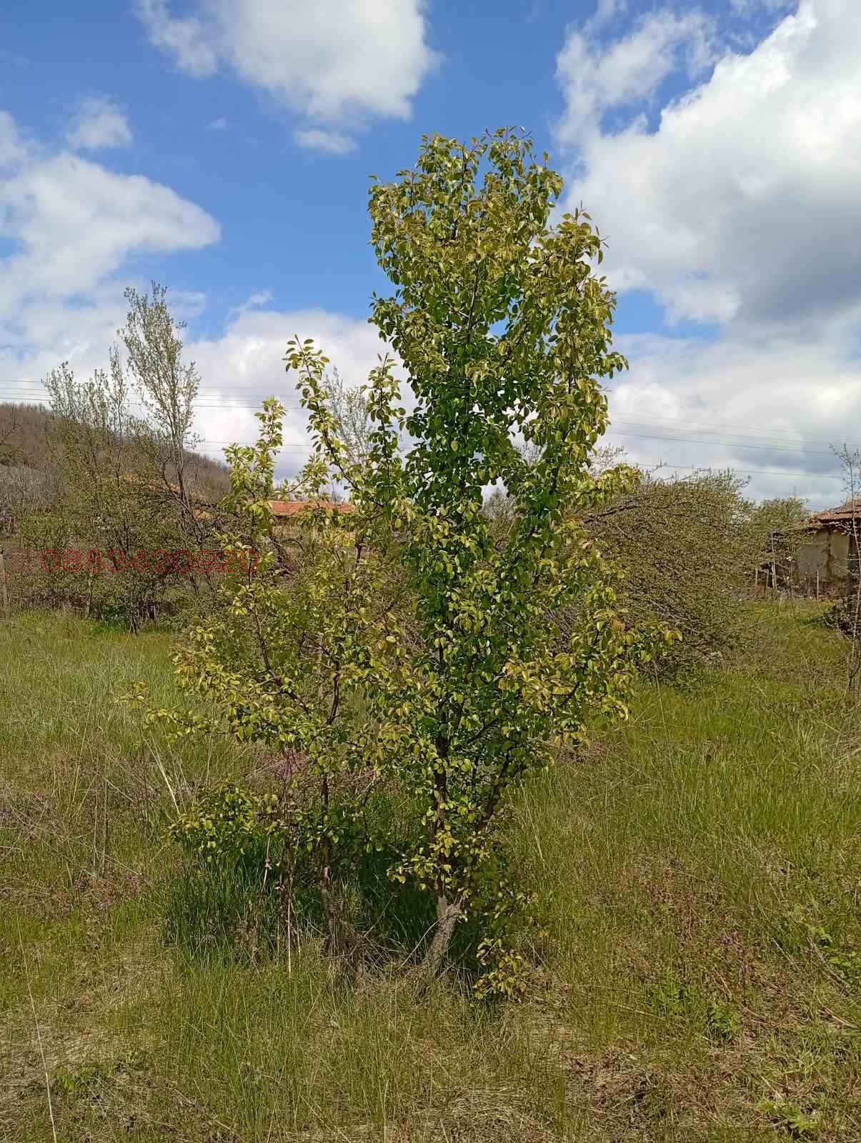 ������� ������ | Imot.bg � ����������� 5