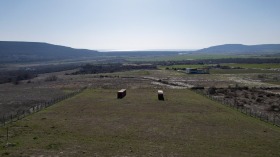 ����� ������� ����,�. ��������, ������ ������