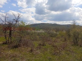 ������� ������ | Imot.bg � ����� ������ 7