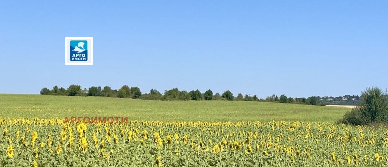 Na sprzedaż  Działka region Warny , Bjala , 7432 mkw | 10582323 - obraz [3]