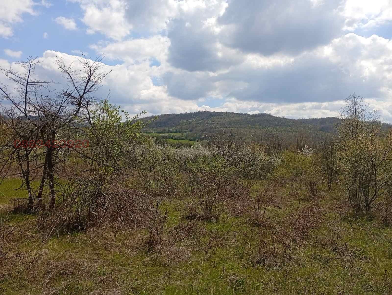 Продава ПАРЦЕЛ, с. Равново, област Велико Търново, снимка 7 - Парцели - 54570788