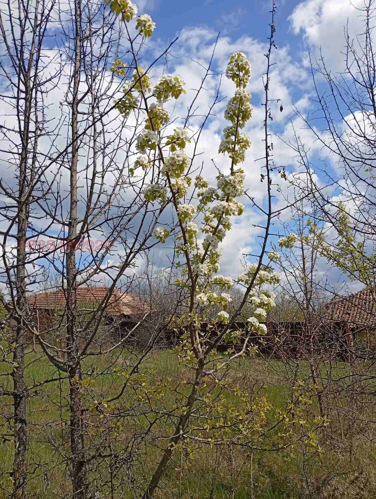 Продава ПАРЦЕЛ, с. Равново, област Велико Търново, снимка 8 - Парцели - 54570788