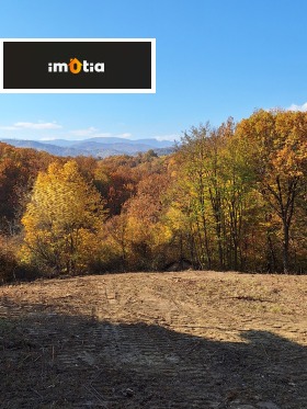 ����� ������� ������,��. �����, ������ �����