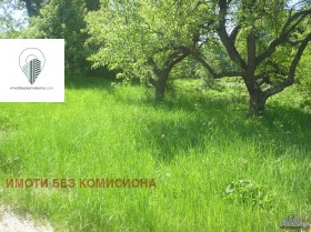 ����� ������� ������,���� �����, �. ������