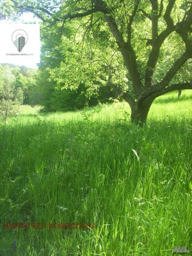 ������� ������ | Imot.bg � ����� ������ 2