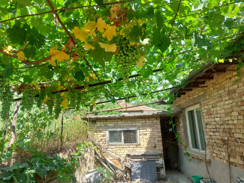 For Sale  House region Varna , Beloslav , 600 sq.m | 55226624 - image [2]