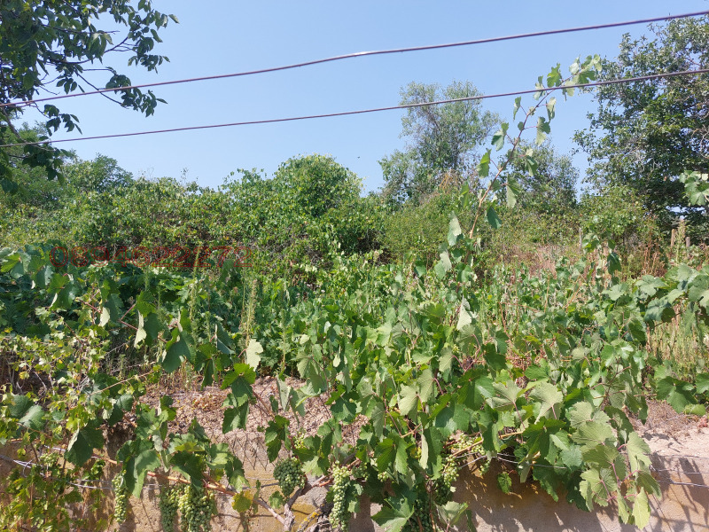 For Sale  House region Varna , Beloslav , 600 sq.m | 55226624 - image [3]
