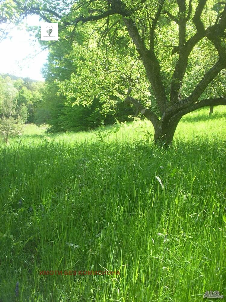 Продава ПАРЦЕЛ, гр. София, с. Владая, снимка 2 - Парцели - 53176716