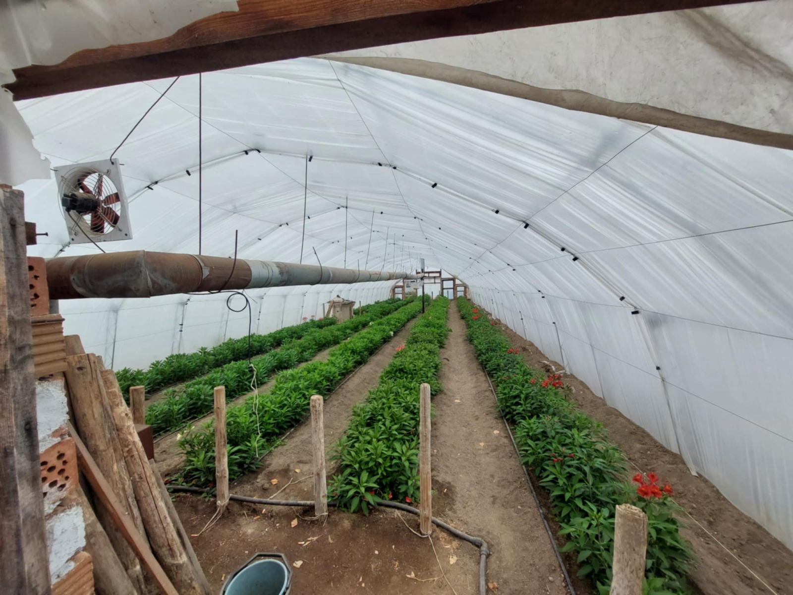 Продава КЪЩА, с. Оризово, област Стара Загора, снимка 17 - Къщи - 54179299