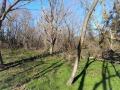 Продава ПАРЦЕЛ, с. Черковна, област Варна, снимка 2