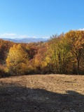 Продава ПАРЦЕЛ, гр. Троян, област Ловеч, снимка 2