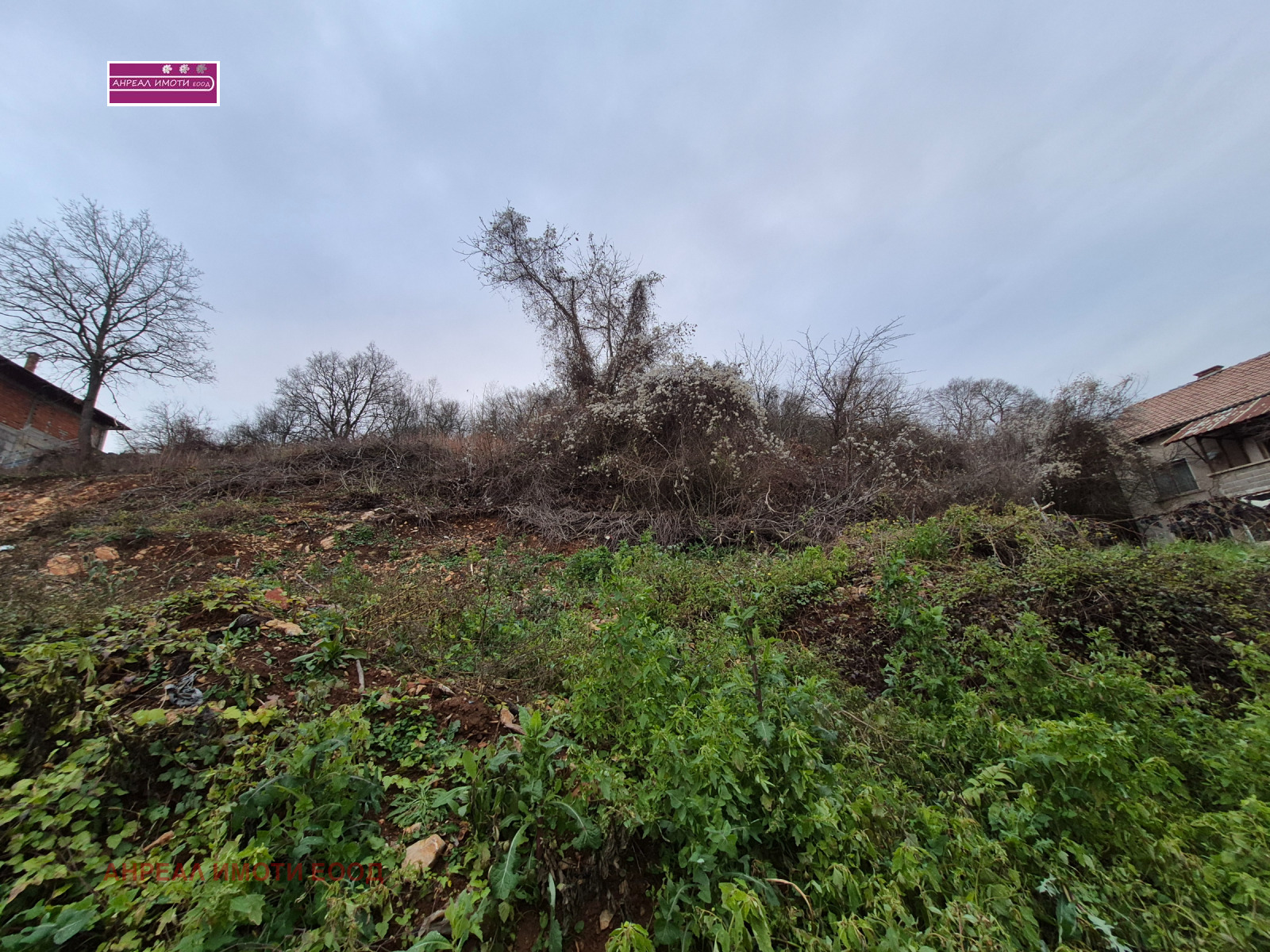 ������� ������ | Imot.bg � ����������� 6