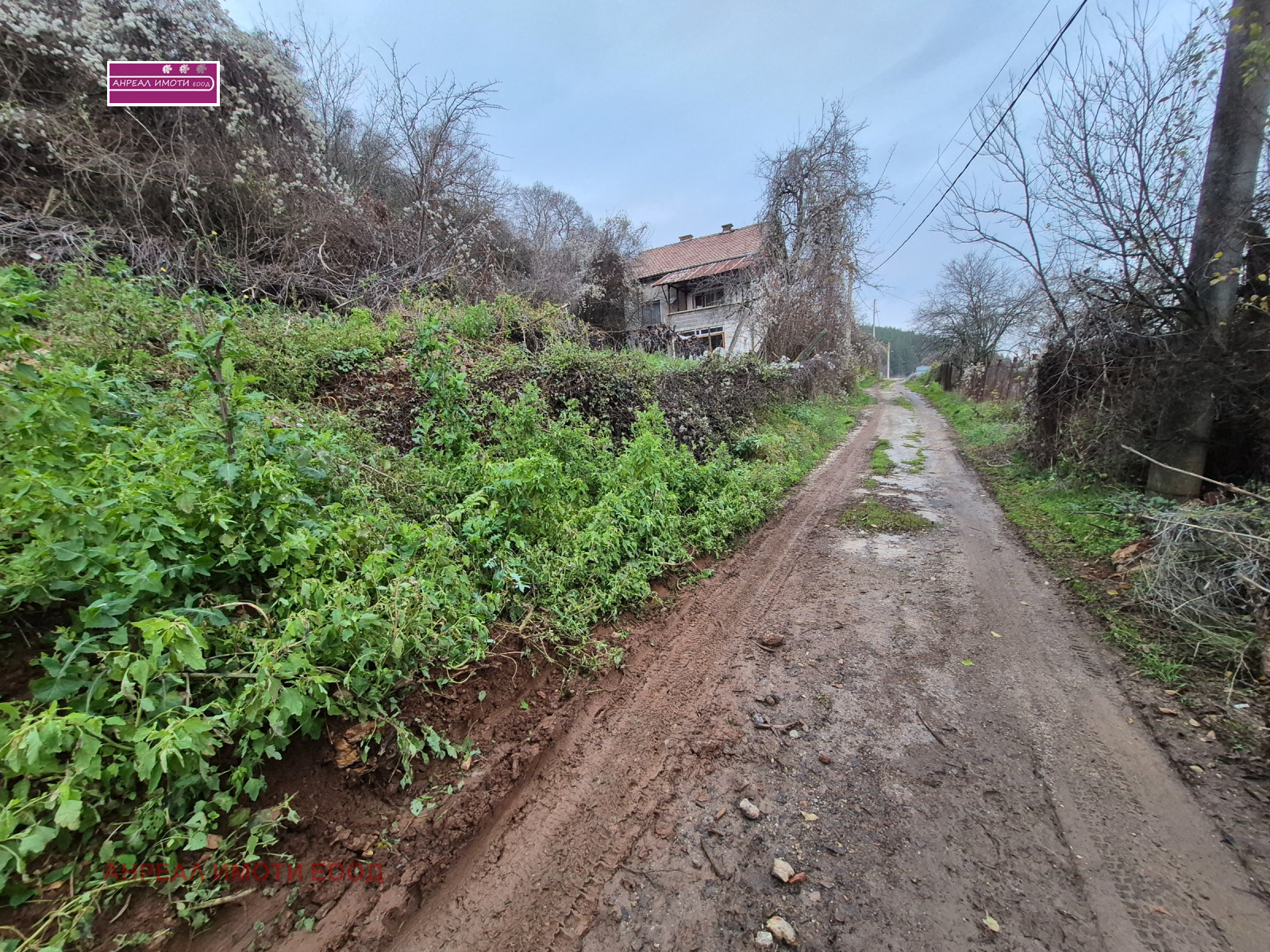 ������� ������ | Imot.bg � ����������� 4