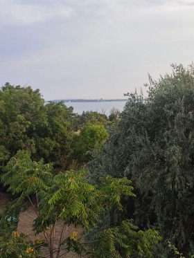 ����� ������� 2-�����,��. ����� ����, ������ ������