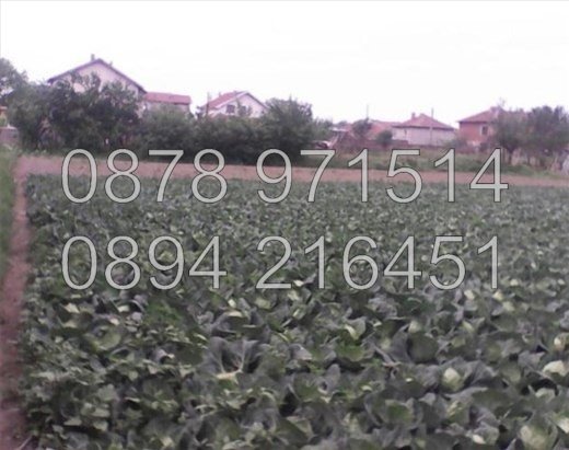 Til salg  Grund region Plovdiv , Manole , 890 kvm | 36758380 - billede [5]