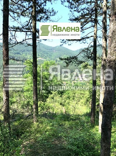 Til salg  Grund region Sofia , Vlado Trichkov , 480 kvm | 78995282 - billede [2]