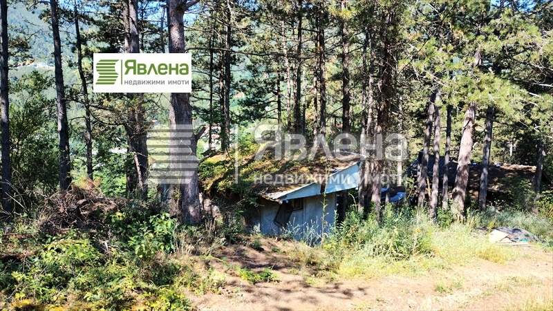 Til salg  Grund region Sofia , Vlado Trichkov , 480 kvm | 78995282