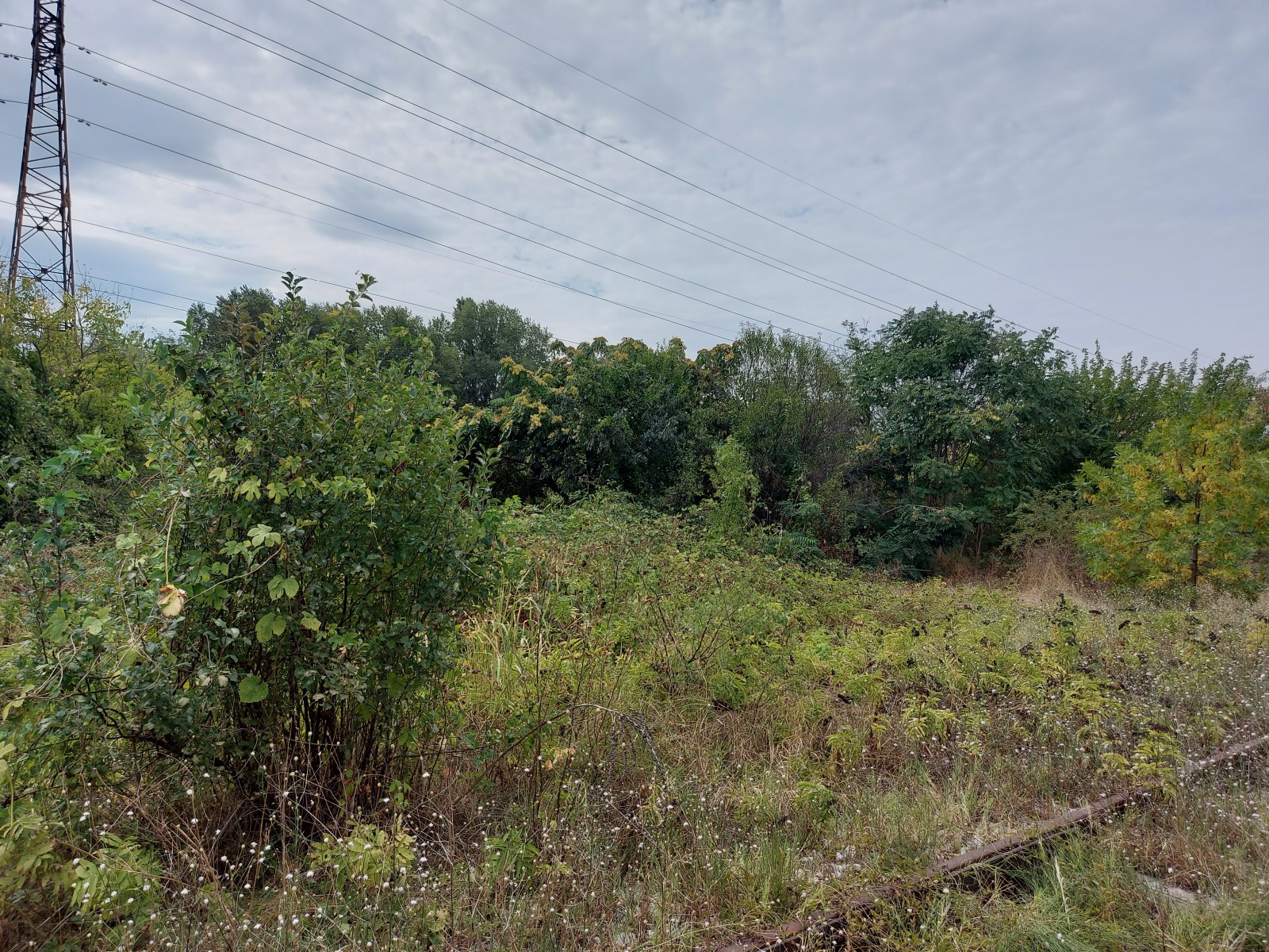 Продава ПАРЦЕЛ | Imot.bg — изображение 3