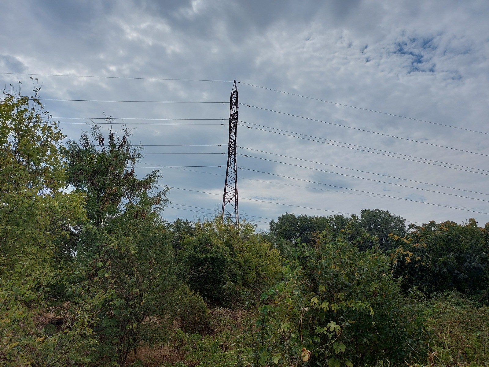 Продава ПАРЦЕЛ | Imot.bg — изображение 4