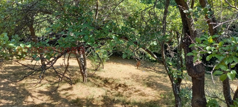 Προς πώληση  σπίτι περιοχή Σόφια , Βακαρελ , 2350 τ.μ | 87406622 - εικόνα [16]