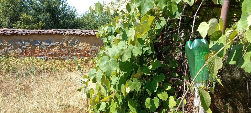 Προς πώληση  σπίτι περιοχή Σόφια , Βακαρελ , 2350 τ.μ | 87406622 - εικόνα [13]
