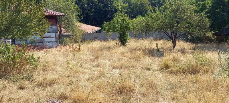 Προς πώληση  σπίτι περιοχή Σόφια , Βακαρελ , 2350 τ.μ | 87406622 - εικόνα [11]
