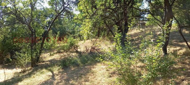 Προς πώληση  σπίτι περιοχή Σόφια , Βακαρελ , 2350 τ.μ | 87406622 - εικόνα [17]