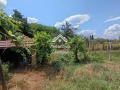 Продава ПАРЦЕЛ, с. Пищигово, област Пазарджик, снимка 5