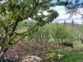 Продава КЪЩА, област Стара Загора, с. Малка Верея • 146000 € / 285551.18 лв. • 87478304 11