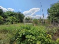 Продава  Парцел област Пазарджик , с. Пищигово , 2035 кв.м | 70056166 - изображение [13]