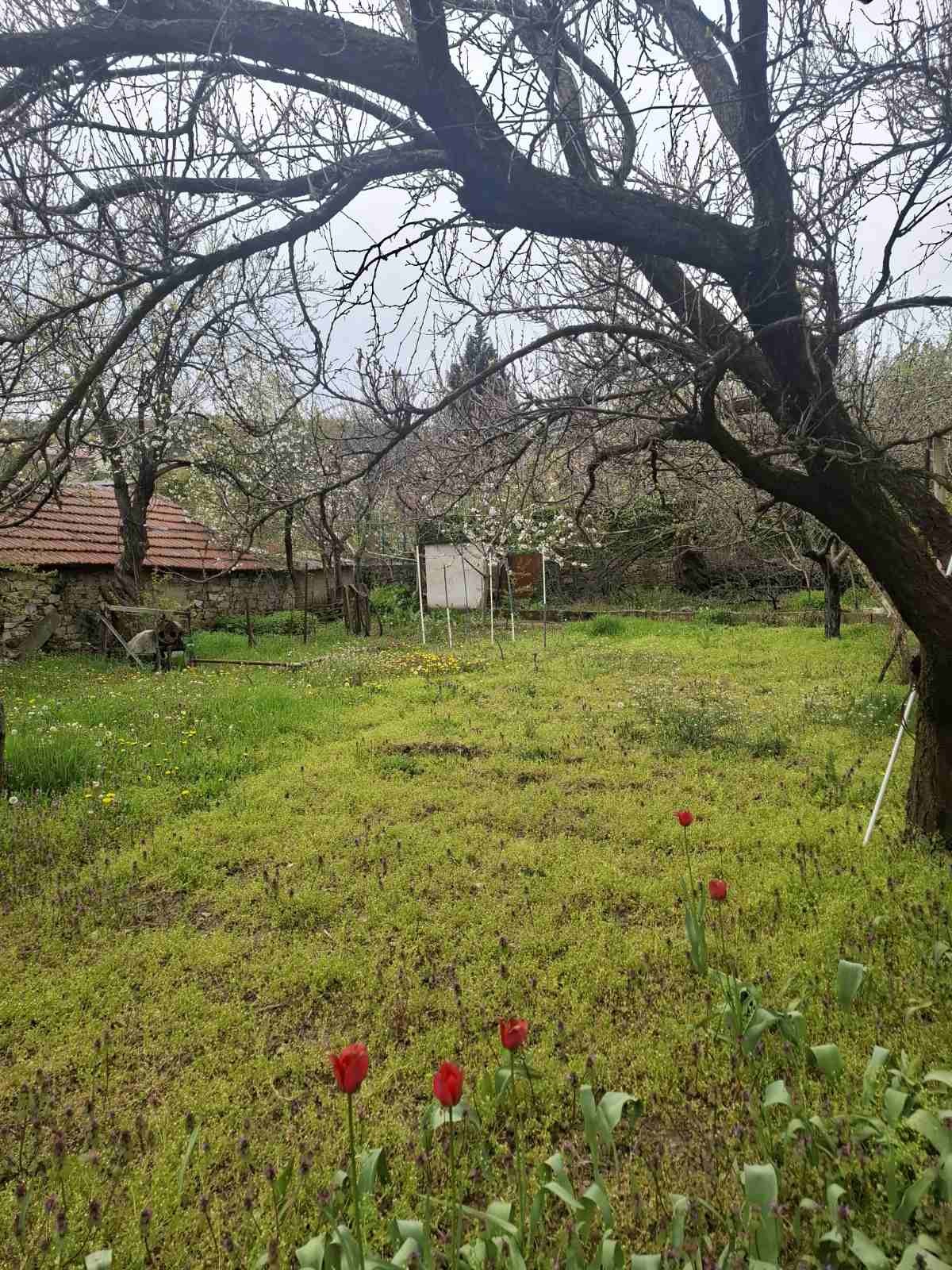 Продава КЪЩА, с. Малка Верея, област Стара Загора, снимка 6 - Къщи - 54454611