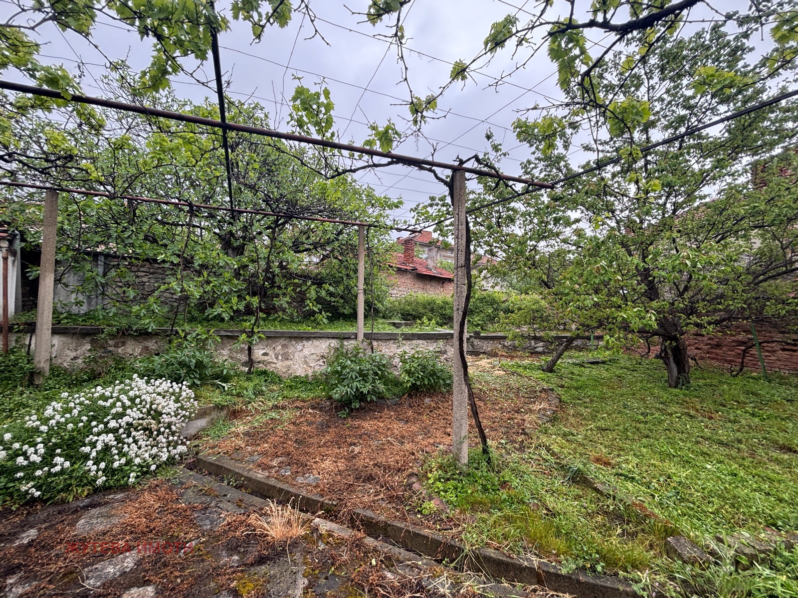 ������� ������ | Imot.bg � ����������� 1