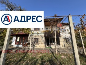 ����� ������� ����,���� �����, �������