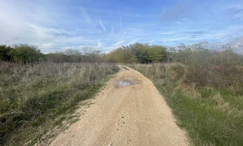 Продава ПАРЦЕЛ, с. Божурец, област Добрич, снимка 5 - Парцели - 52145531