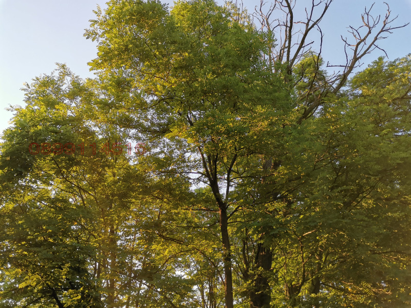 Продава ПАРЦЕЛ, с. Кошарите, област Перник, снимка 4 - Парцели - 53173750