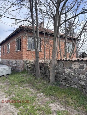 ������ ������� ����