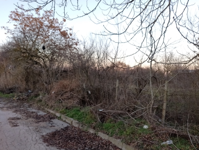 Til salg  Grund region Varna , Cherventsi , 2000 kvm | 87122588 - billede [12]