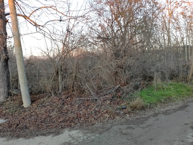 Til salg  Grund region Varna , Cherventsi , 2000 kvm | 87122588 - billede [6]