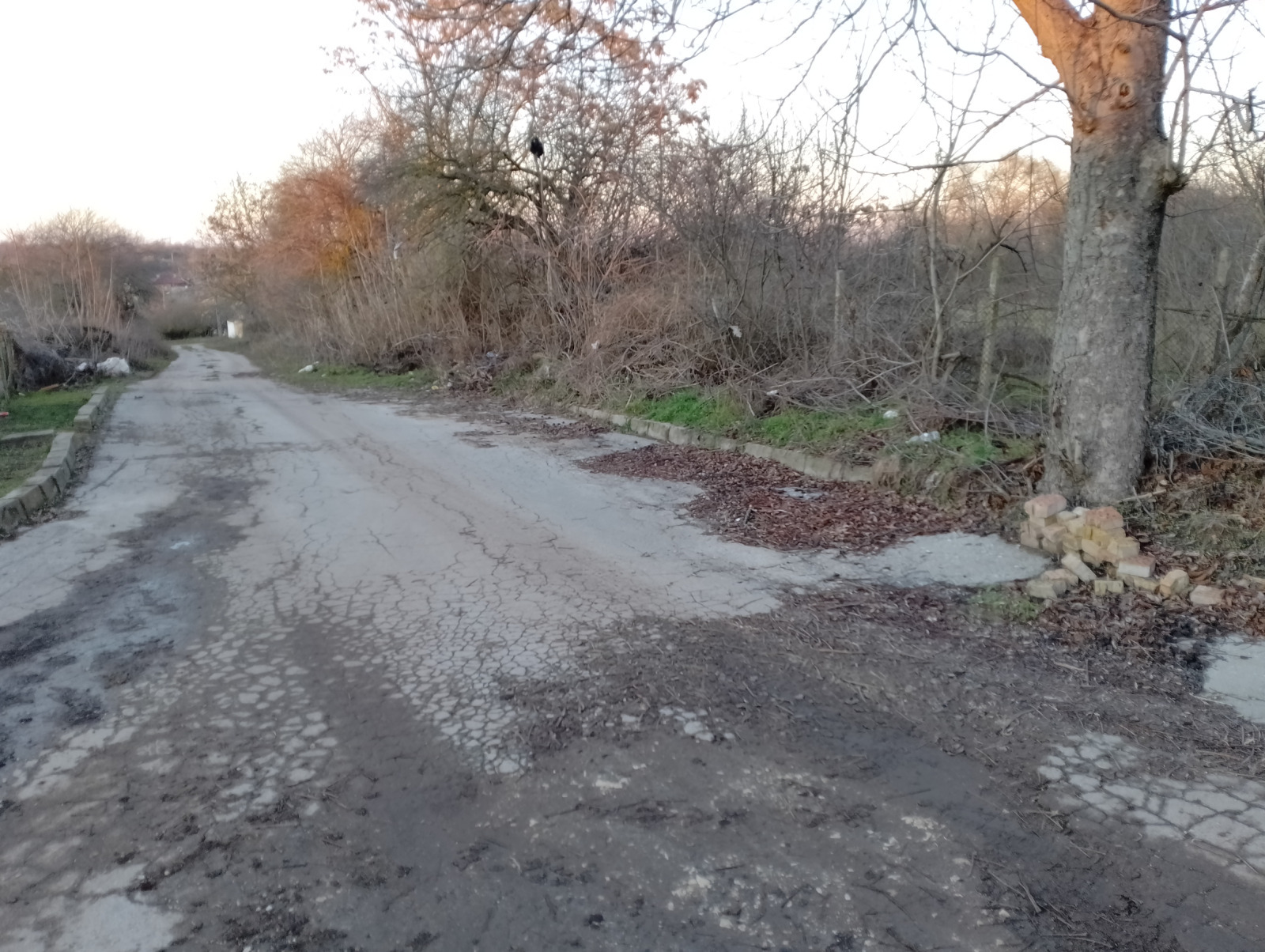 Продава ПАРЦЕЛ, с. Червенци, област Варна, снимка 11 - Парцели - 54932108