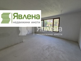 ����� ������� 3-�����,���� �����, ����������