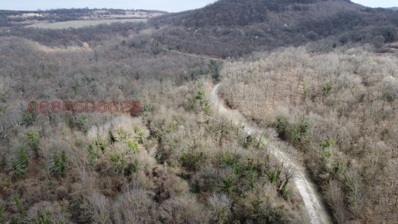 Продава ВИЛА, с. Орляне, област Ловеч, снимка 13 - Вили - 52779680