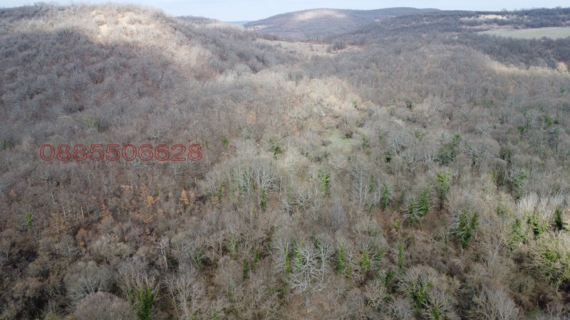 Продава ВИЛА, с. Орляне, област Ловеч, снимка 12 - Вили - 52779680