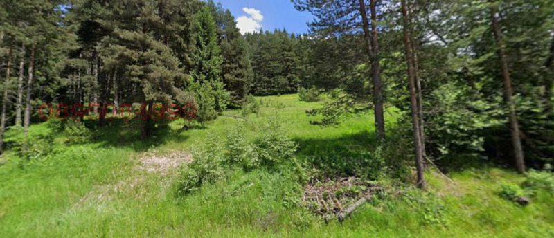 Продава ПАРЦЕЛ, гр. Сърница, област Пазарджик, снимка 2 - Парцели - 53226483