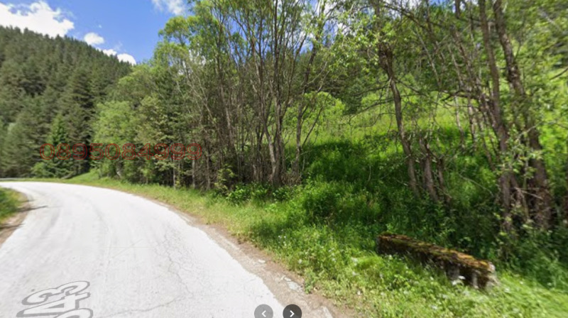 Продава ПАРЦЕЛ, гр. Сърница, област Пазарджик, снимка 3 - Парцели - 53226483