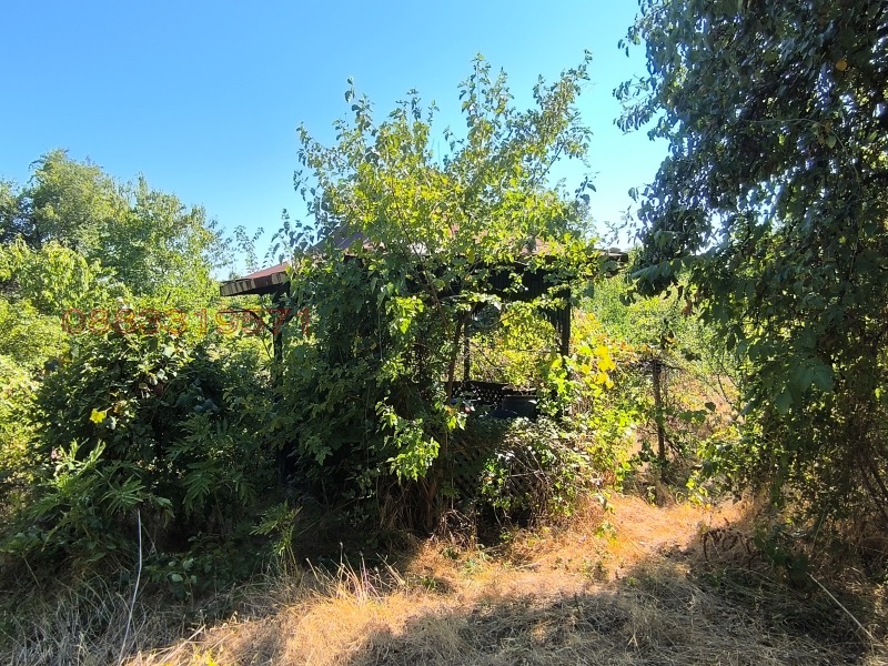 Продава ЗЕМЕДЕЛСКА ЗЕМЯ, с. Тияновци, област Видин, снимка 4 - Земеделска земя - 52781947